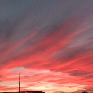 Meet your Posher, Nora